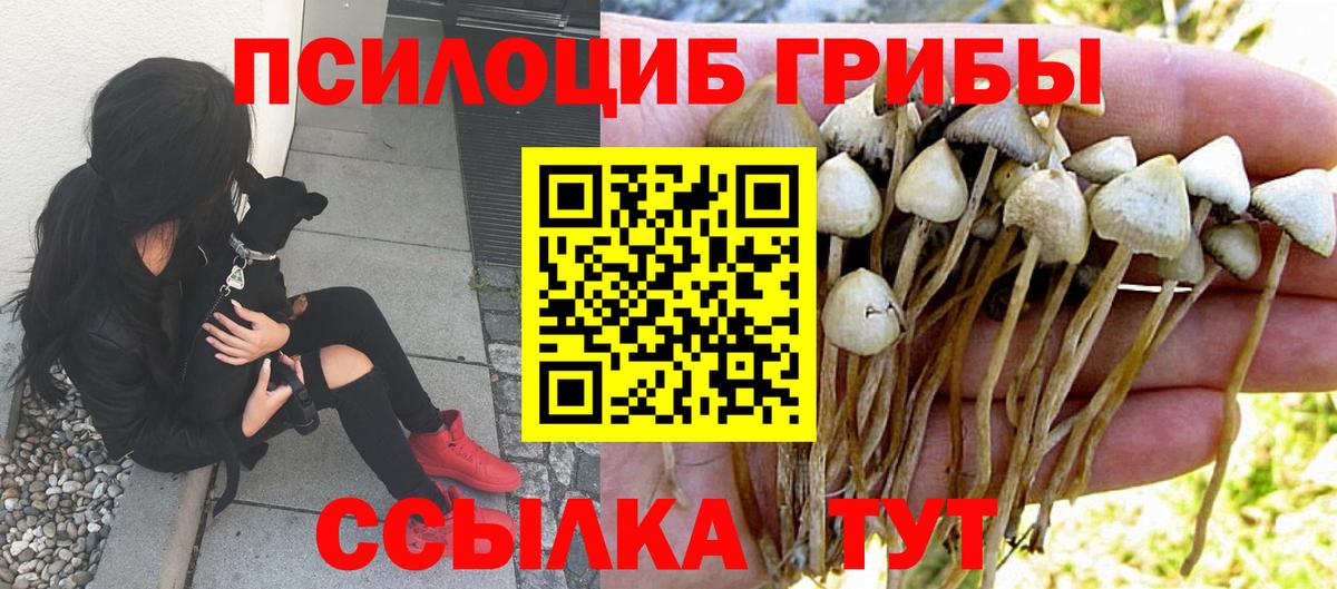 Галлюциногенные грибы мицелий Тихорецк