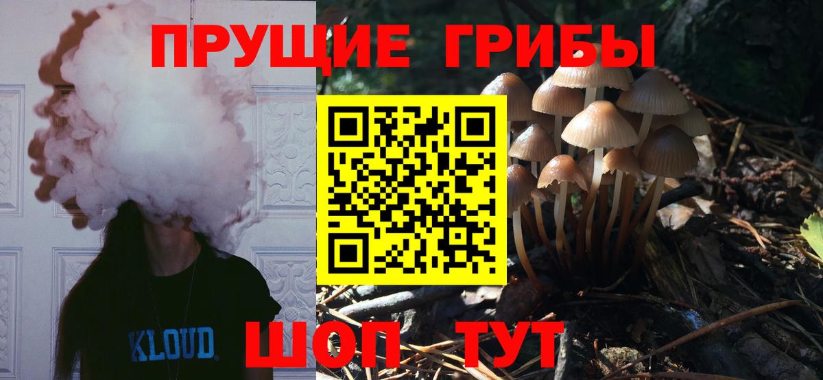 Тихорецк  Галлюциногенные грибы Psilocybine cubensis  Вход с VPN 